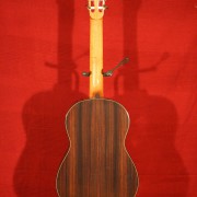 Slim Guitars SGT7 - Rosewood