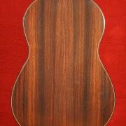 Slim Guitars SGT7 - Rosewood